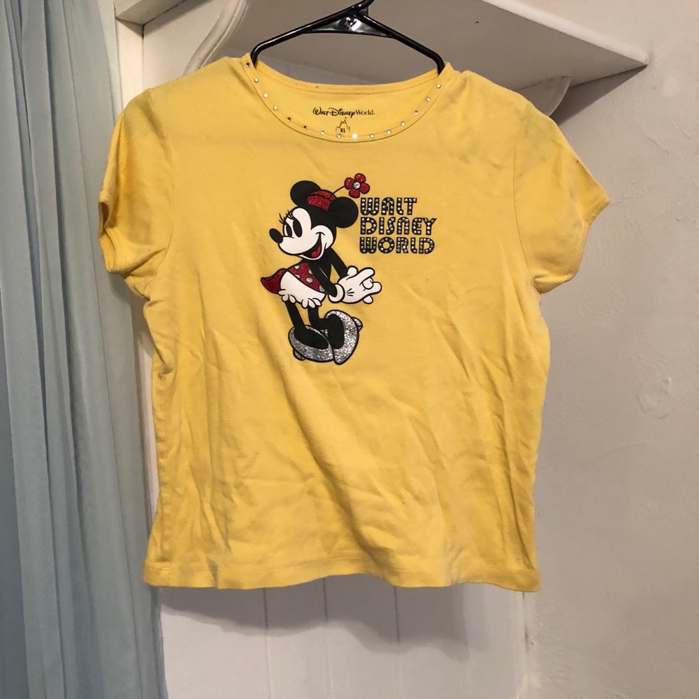 Disney World Top